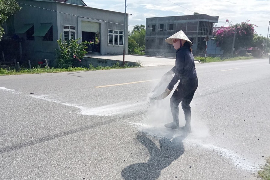 Dịch tả lợn châu Phi bùng phát mạnh tại Nghệ An và Hà Tĩnh