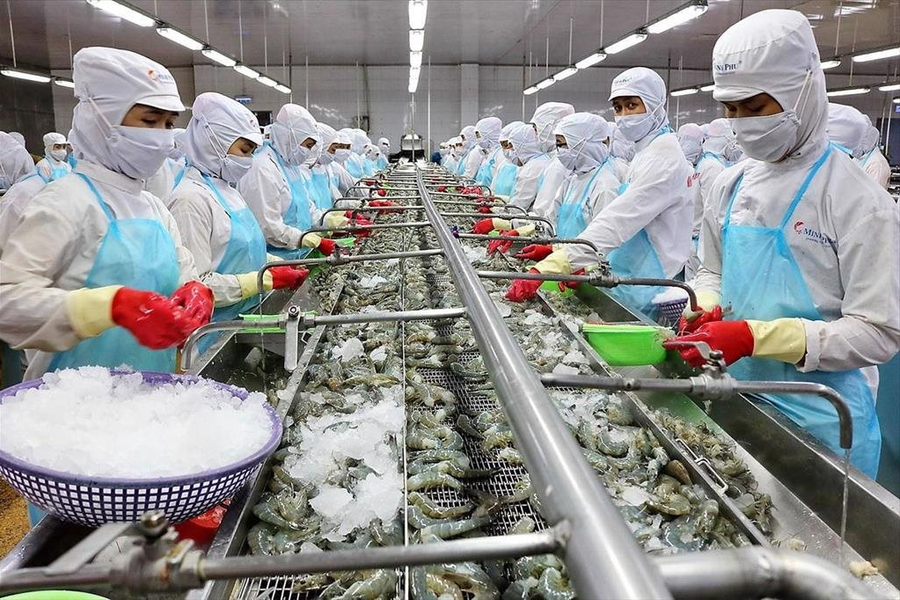 Mặt hàng tỉ đô của Việt Nam vẫn đạt 'điểm sáng' trong khó khăn chung