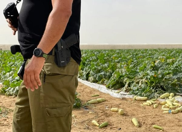 Hamas khiến lao động nông nghiệp nước ngoài tháo chạy khỏi Israel 