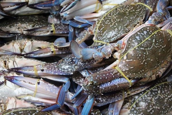 Cua ghẹ Việt Nam 'đắt khách' Trung Quốc