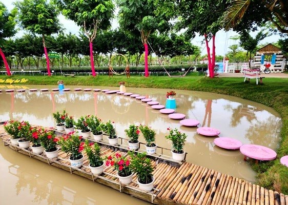 Đồng Tháp chuẩn bị Festival hoa – kiểng Sa Đéc