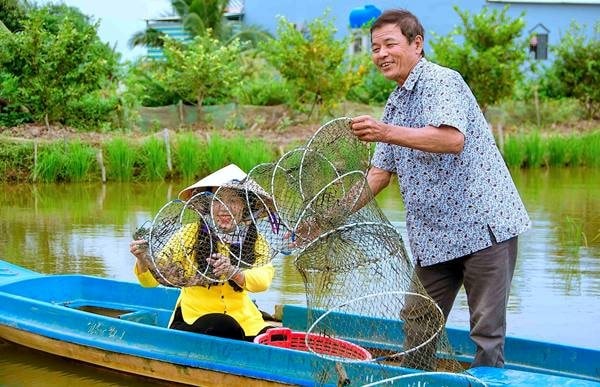 Festival tôm Cà Mau – Nâng tầm thương hiệu Việt