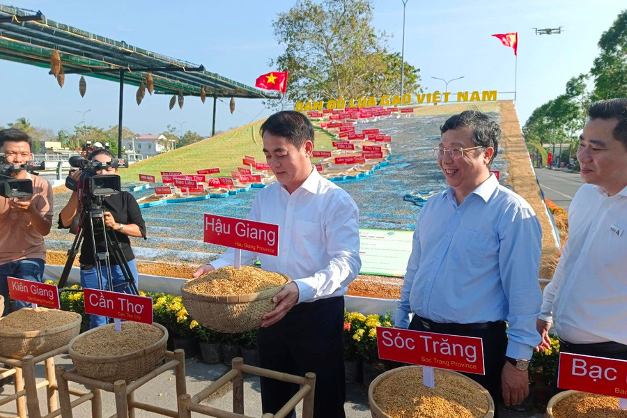 Hậu Giang: Xác lập 3 kỷ lục liên quan đến lúa gạo