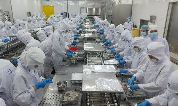 Bạc Liêu: Lần đầu xuất khẩu thủy sản cán mốc 1 tỉ USD