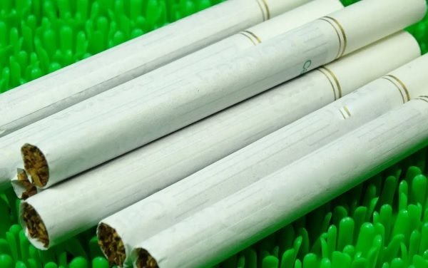 Biến đầu lọc thuốc lá thành nhiên liệu sinh học