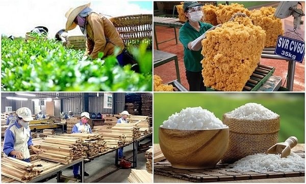 Xuất siêu nông lâm thủy sản đạt mức kỷ lục