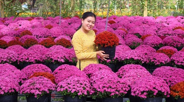 Đồng Tháp: Hàng nghìn du khách đổ về dự lễ khai mạc Festival Sa Đéc 2023