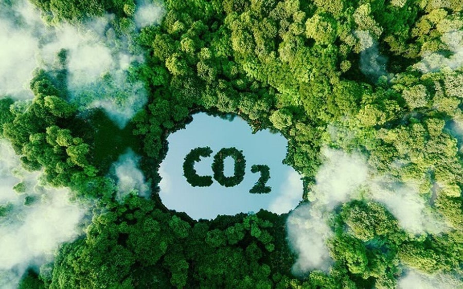 Xây dựng ngay thị trường tín chỉ carbon để tránh thiệt thòi cho doanh nghiệp