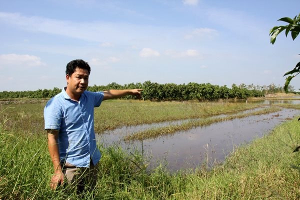 An Giang: Lãnh đạo văn phòng đăng ký đất đai huyện bị tố cấp giấy tờ sai gây thiệt hại cho dân
