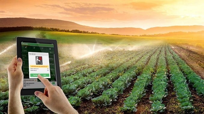 Cần sớm có cơ chế thử nghiệm để chắp cánh cho các mô hình kinh doanh mới