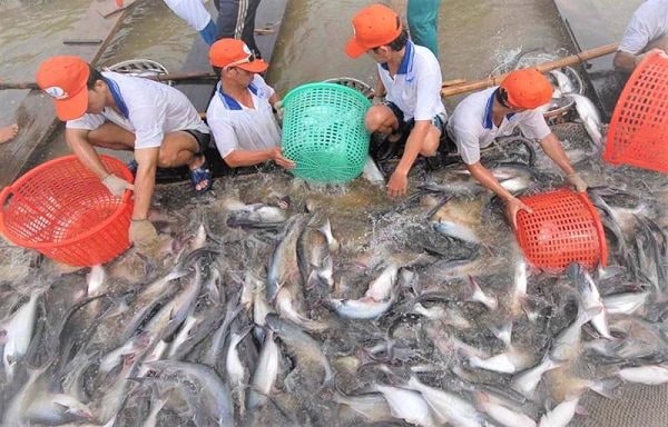 Căng thẳng Biển Đỏ ảnh hưởng việc xuất khẩu mặt hàng tỉ USD của Việt Nam