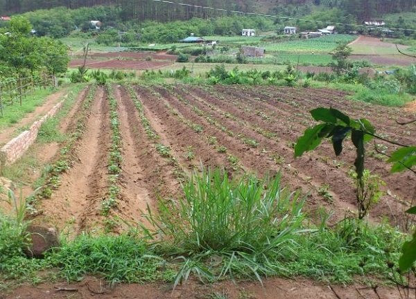 Những điểm mới nổi bật trong Luật Đất đai (sửa đổi) vừa được Quốc hội thông qua