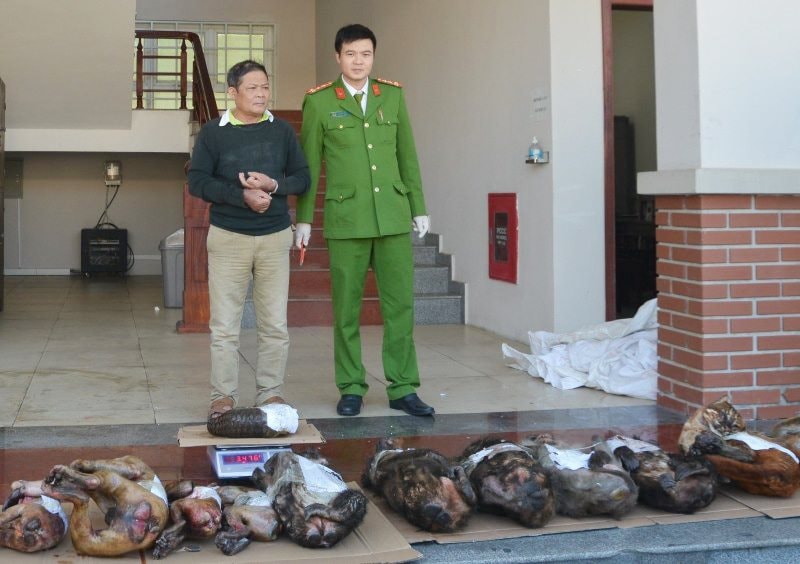 Nghệ An: Bắt quả tang người đàn ông mua bán động vật hoang dã quý hiếm