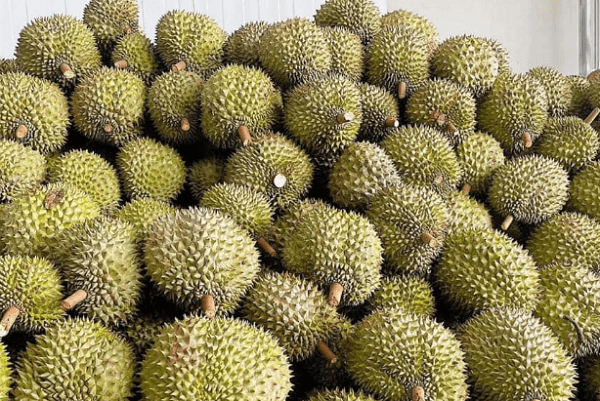 Loạt tin vui cho nông sản Việt sang Trung Quốc thời gian tới