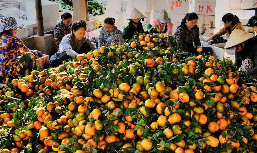 Chợ Tết ĐBSCL chuyển động chậm, sức mua yếu