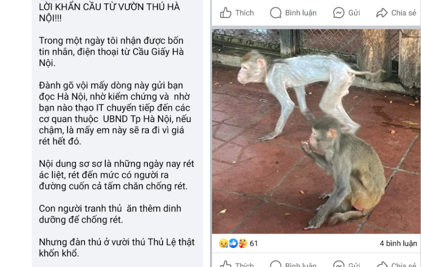 Thực hư về 'lời khẩn cầu' từ vườn thú Hà Nội