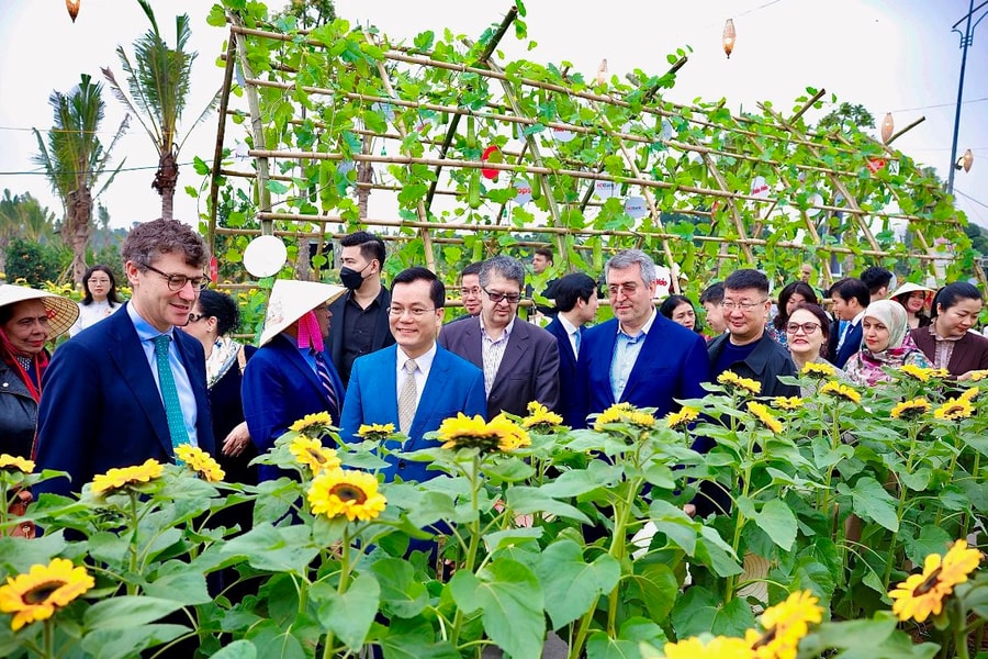 Hàng ngàn lượt khách hào hứng trải nghiệm 'hương xuân - vị Tết' tại Mailand Hanoi City