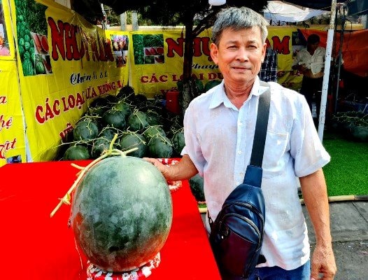 An Giang: Dưa hấu to, trang trí bắt mắt thu hút người mua dịp tết