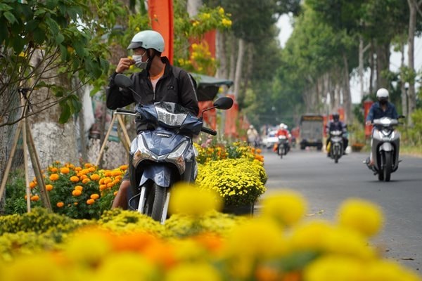An Giang, Đồng Tháp: Hoa, cây kiểng ‘ế ẩm’, tiểu thương lo lắng ngóng khách mua
