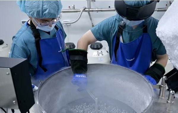 Hỗ trợ chi phí đông lạnh trứng có giúp cứu vãn tỷ suất sinh thấp của Hàn Quốc?