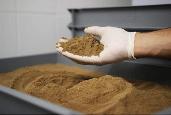 Trung Quốc đang săn tìm bột cá - cơ hội vàng cho doanh nghiệp Việt