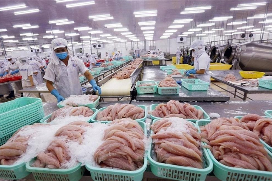 Chủ tịch VASEP: Hy vọng vào sự hồi phục mạnh mẽ hơn trong năm 2024