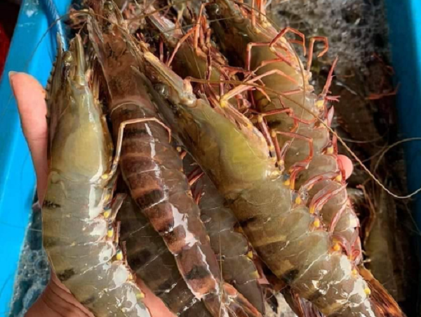 Mỹ yêu cầu Việt Nam phải trả thuế chống trợ cấp sơ bộ