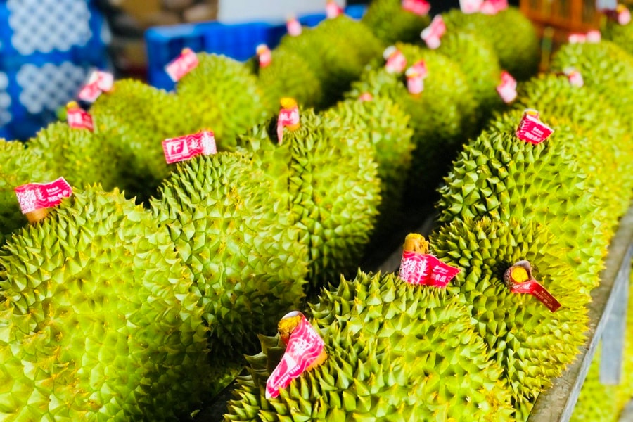 Sầu riêng Việt Nam lên ngôi