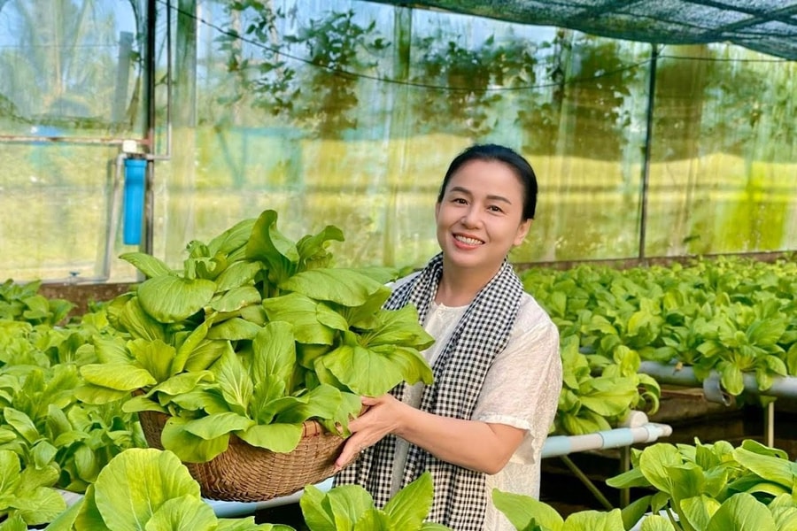 Phát triển nông nghiệp hữu cơ gắn với bảo vệ môi trường