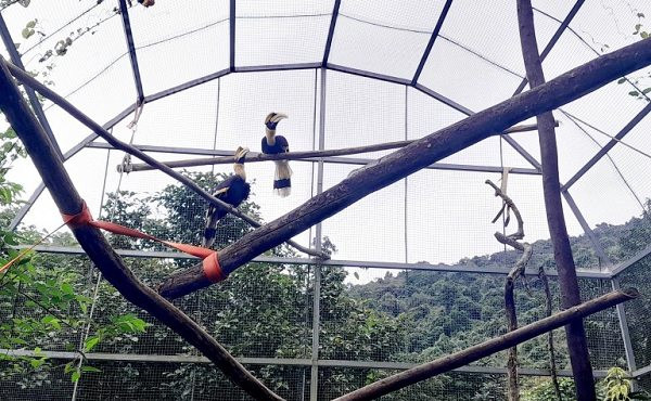 VQG Phong Nha – Kẻ Bàng tiếp nhận thêm nhiều động vật hoang dã quý hiếm