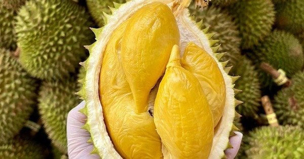 Tạo điều kiện cho doanh nghiệp Việt xây dựng thương hiệu tại Trung Quốc