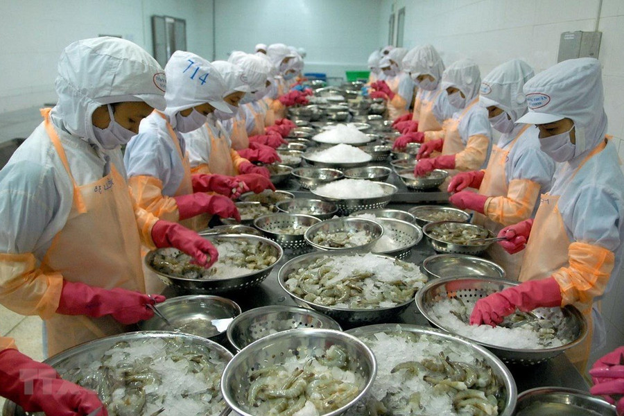 Xuất khẩu tôm sang Mỹ và Trung Quốc tăng mạnh đầu năm