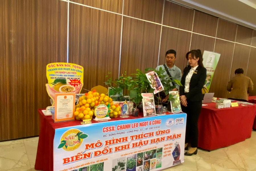 Chuyển dịch xanh: Thách thức, cơ hội và giải pháp hỗ trợ doanh nghiệp ĐBSCL
