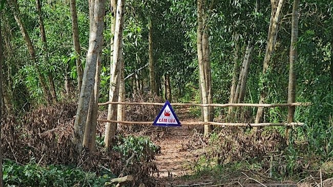 Gần 9.000ha rừng ở Cà Mau cảnh báo cháy cấp cực kỳ nguy hiểm