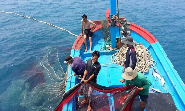 Đại sứ EU: Đến giai đoạn có thể gỡ bỏ 'thẻ vàng' cho Việt Nam