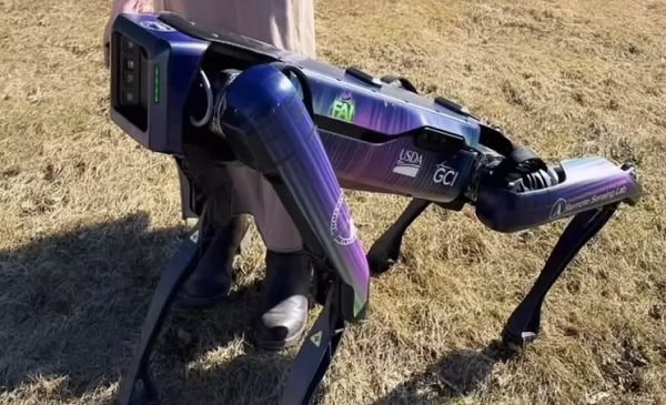 Robot giúp xua đuổi chim khỏi đường băng sân bay
