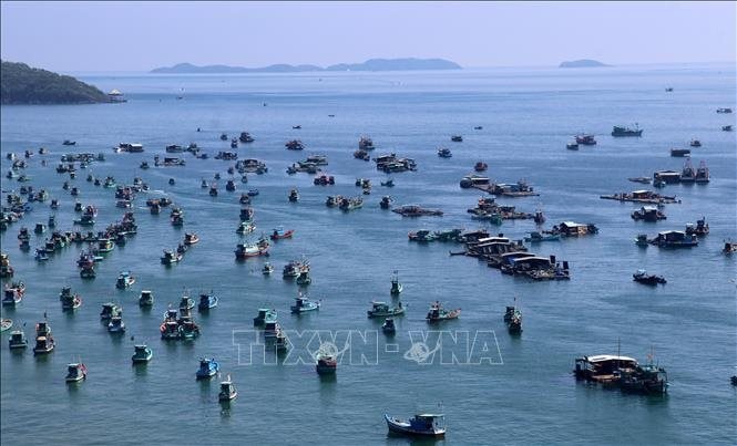 Gỡ 'thẻ vàng' IUU: Cao điểm rốt ráo thực hiện chính là lúc này