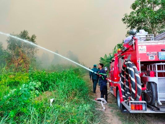 Cà Mau: Điều tra nguyên nhân vụ cháy 40ha rừng sản xuất