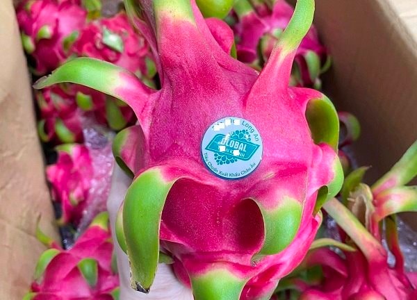 Hàng hóa dán tem truy xuất nguồn gốc sẽ dễ được thị trường chấp nhận