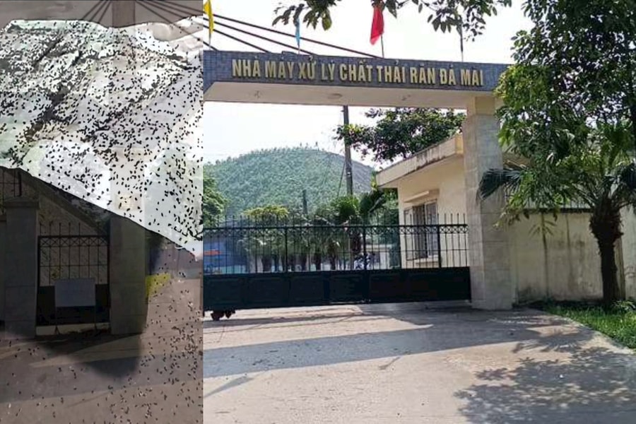 Vụ ‘kêu cứu vì... đánh hơn 4kg ruồi’: Sẽ di dời các hộ dân khỏi vùng đã quy hoạch