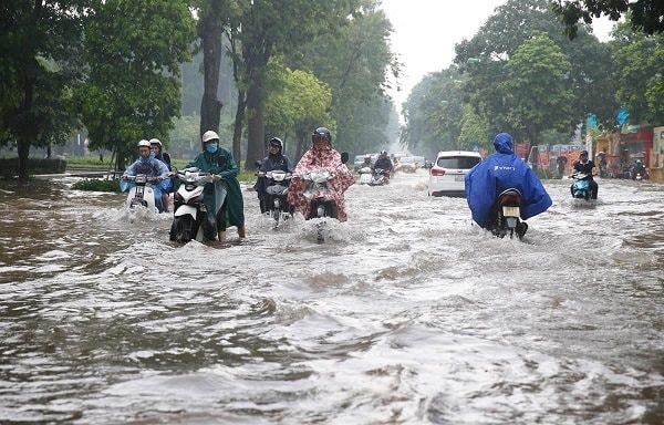 Hai thành phố lớn giải quyết tình trạng 'cứ mưa to là ngập úng'
