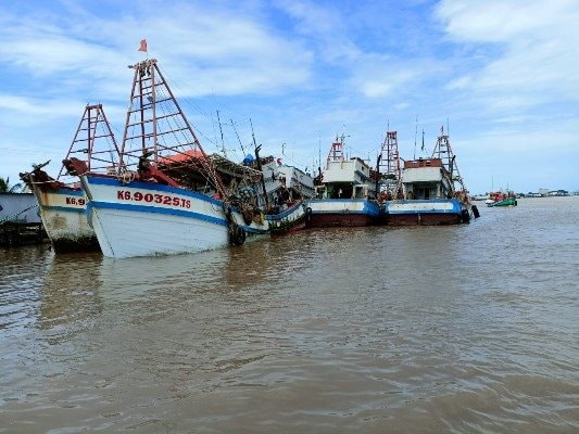 Bạc Liêu: Kiên quyết chống khai thác thuỷ sản bất hợp pháp