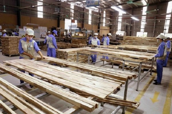 Đưa chính sách giảm thuế vào cuộc sống