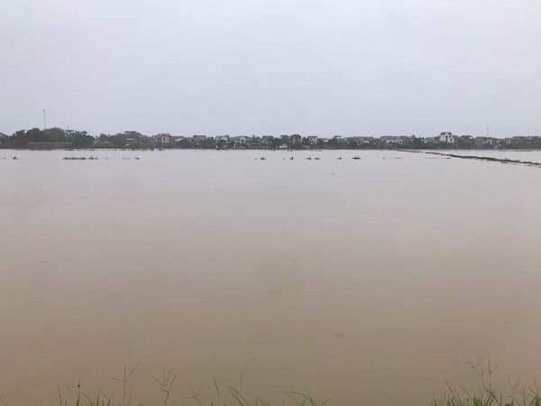 Hà Nội phát lệnh báo động lũ các sông Bùi, Tích, Nhuệ, Đáy
