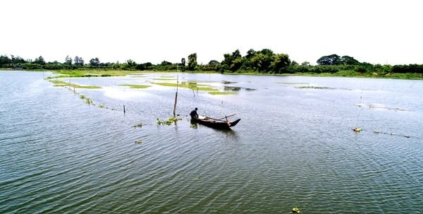 Mùa nước nổi đến An Giang thưởng thức đặc sản cá linh non