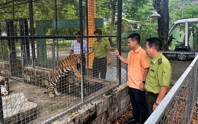 Đã có kết quả xét nghiệm cúm H5N1 tại khu du lịch Vườn Xoài (Đồng Nai)