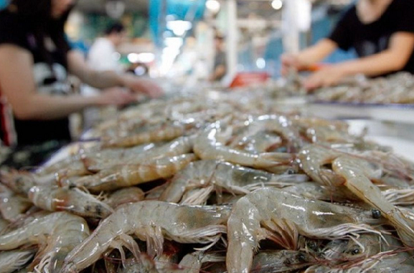 Mỹ kết luận vụ điều tra tôm Việt Nam