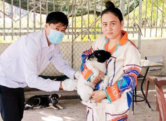 Cà Mau: Còn 4 ổ bệnh dại chưa qua 21 ngày