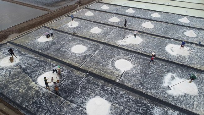 Vui buồn nghề muối Bạc Liêu - Bài cuối: Festival là cơ hội để hạt muối vươn xa