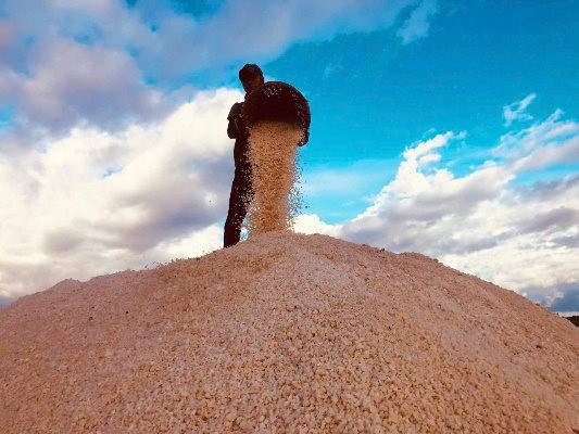 Vui buồn nghề muối Bạc Liêu - Bài 1: Giá bấp bênh, diêm dân vẫn quyết không bỏ nghề